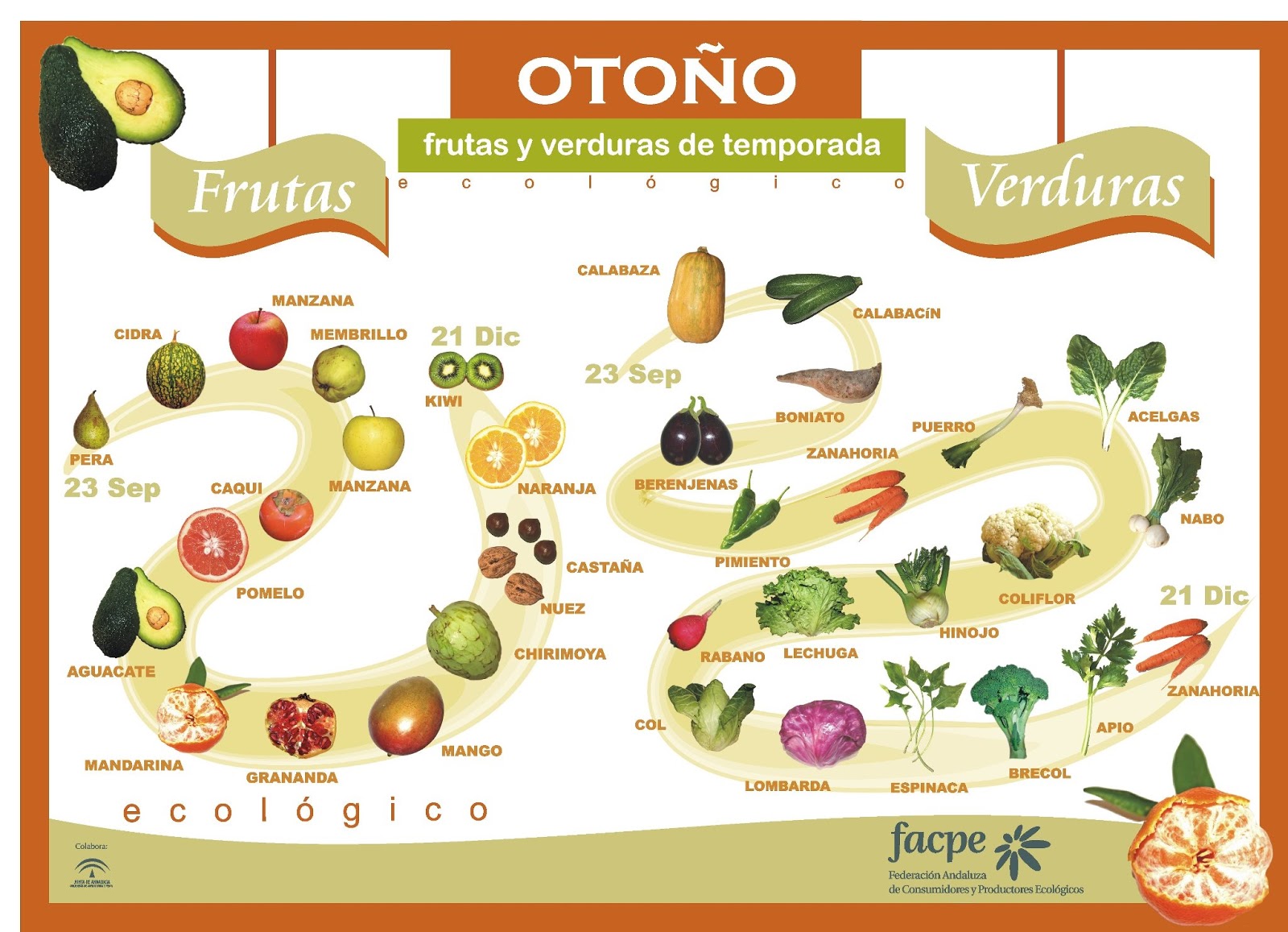 Frutas y verduras de otoño/invierno: un complejo vitamínico en tu mesa |  Sukha Centro de Ayurveda