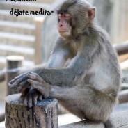 MEDITA, “déjate meditar”.