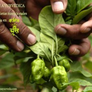 Nutrición Ayurvédica