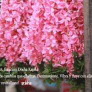 PRIMAVERA: La estación de Dosha Kapha. 2ª Parte