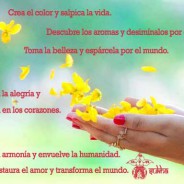 Instaura el Amor y Transforma el Mundo