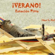 Verano: Estación Pitta
