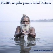Fluir, un pilar para la Salud Perfecta
