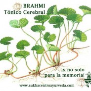 Para la memoria: Brahmi