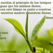 Plantas, medicina original