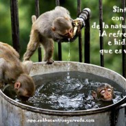 ¡A hidratarse y refrescarse!