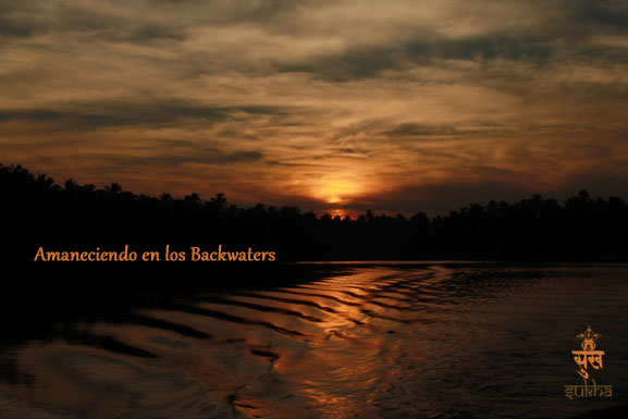 71.kerala-backwaters
